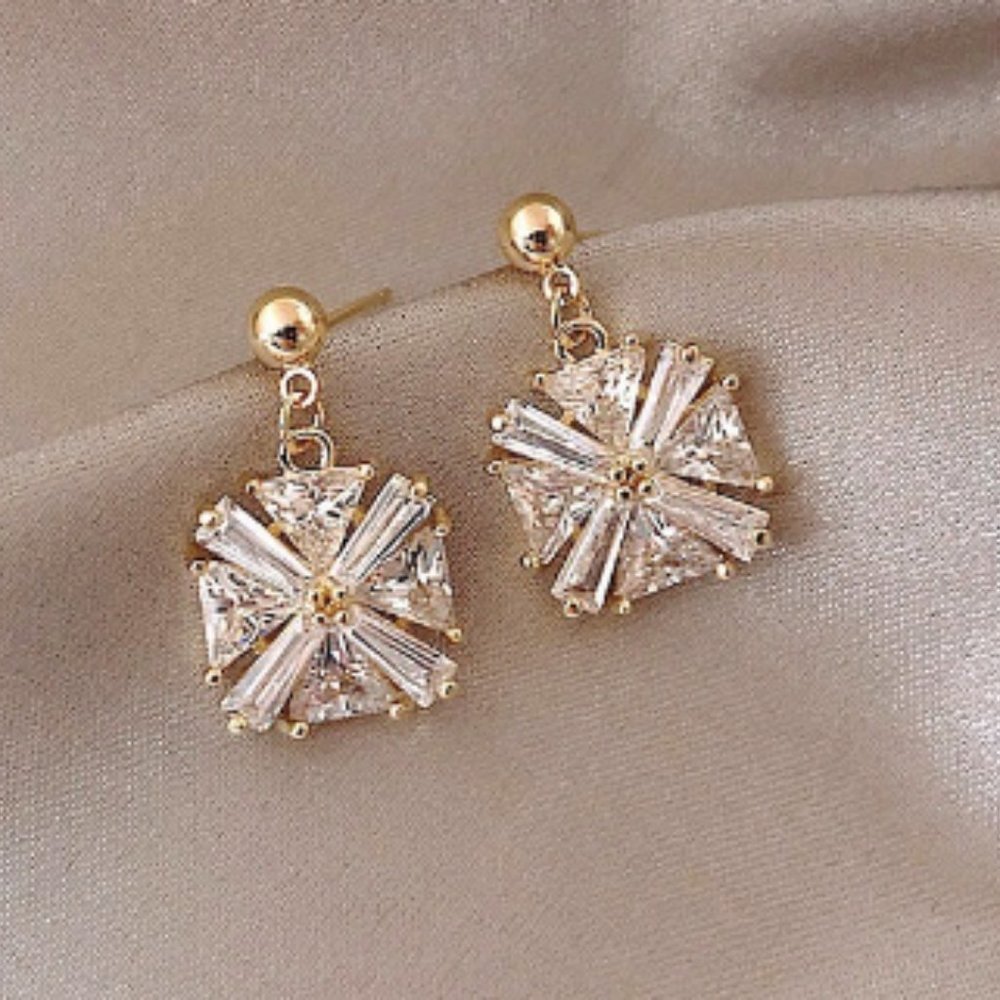 Women's fashion earrings
